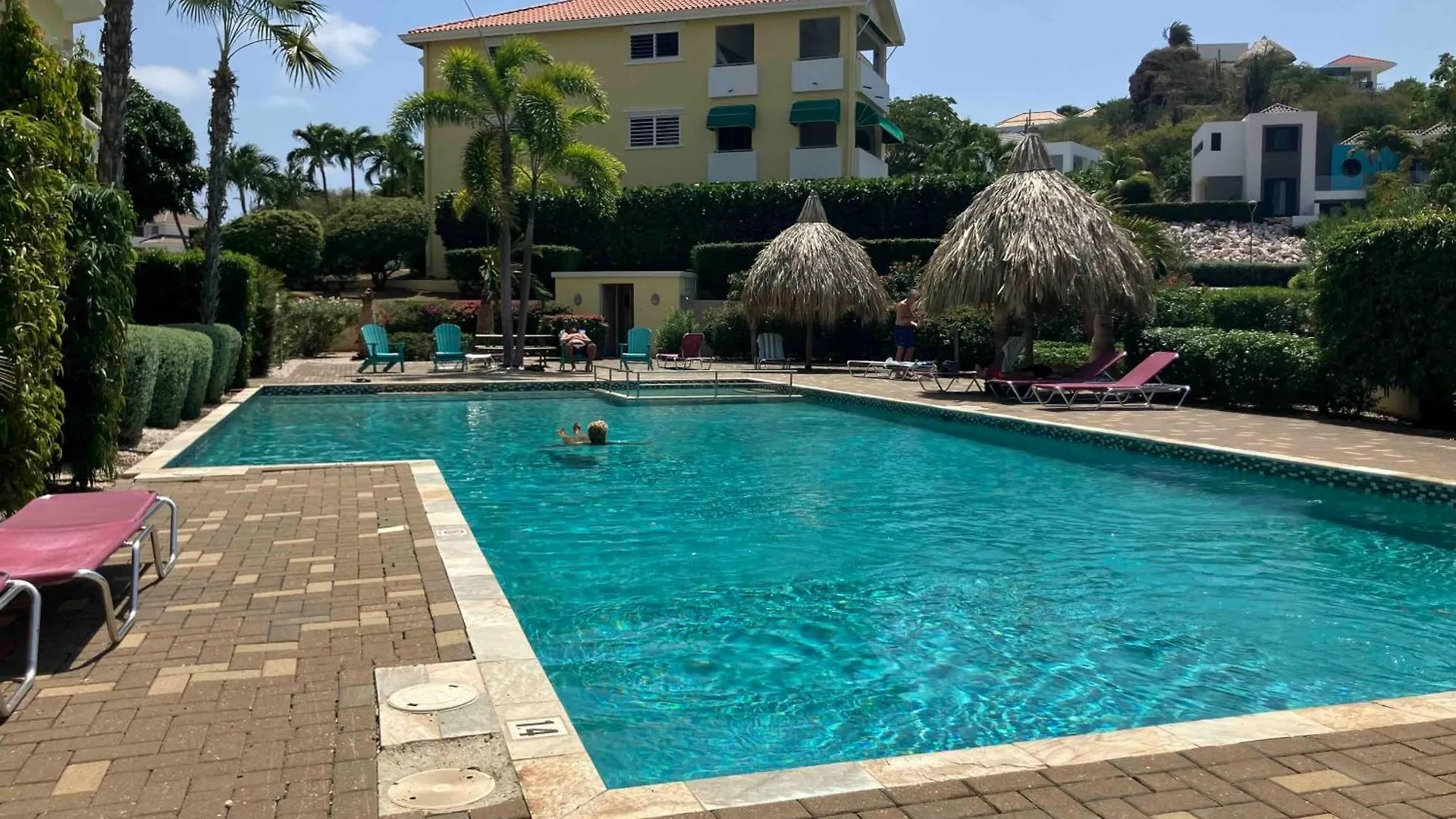 Modern Appartement Bij Zee Met Zwembad Op Blue Bay - Tripletree The Hill Dorp Dorp Sint Michiel Curaçao